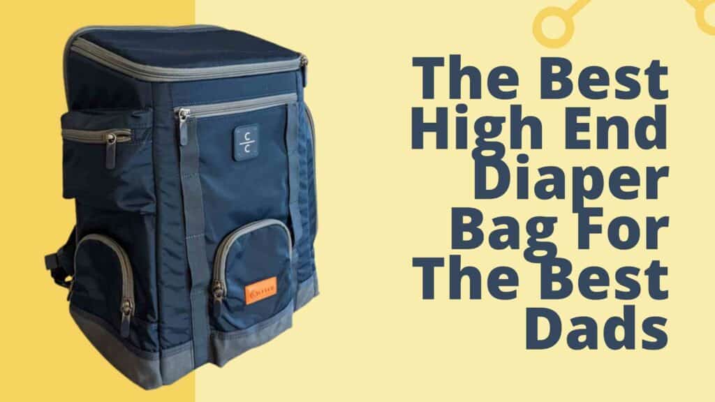 The Best High End Diaper Bag For Dads Mommy Bear Reviews